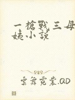 一枪战三母2雪姨小说