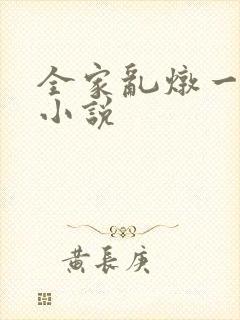 全家乱炖一锅烩小说