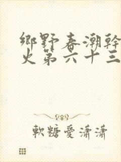乡野春潮干柴烈火第六十三章