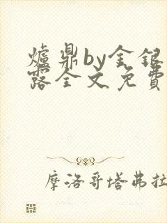 炉鼎by金银花露全文免费阅读笔趣阁