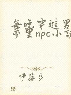 每晚穿进男神的梦里npc小说