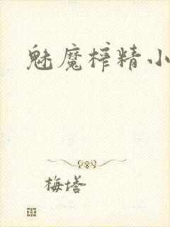 魅魔榨精小说