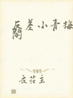 反差小青梅笔趣阁