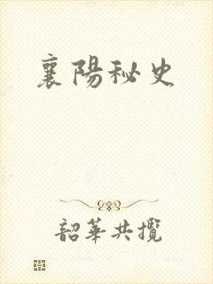 襄阳秘史