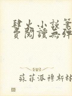 肆火小说笔趣免费阅读无弹窗