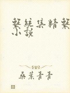 系统集精系统 小说