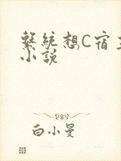 系统想C宿主的小说