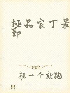 极品家丁最新章节