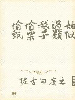 偷偷越过她by甄栗子类似小说