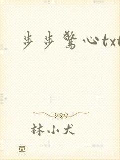 步步惊心txt