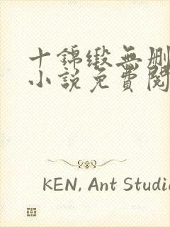 十锦缎无删原著小说免费阅读