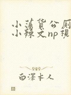 小荡货公厕h文小辣文np视频