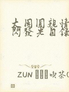 大团圆亲情会闪闪发光目录