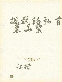 总裁的私有宝贝 暮山紫