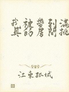 我被带到满是玩具的房间挑调游戏