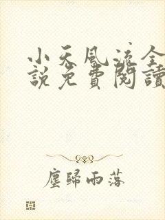 小天风流全集小说免费阅读