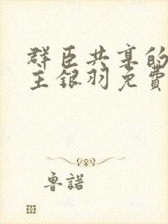 群臣共享的小公主银羽免费阅读