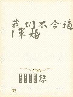 我们不合适1v1军婚