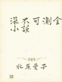 深不可测金银花小说