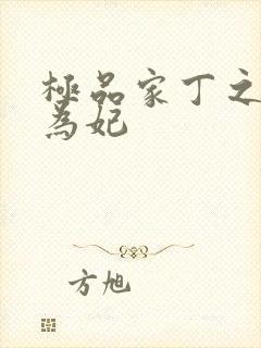 极品家丁之册母为妃