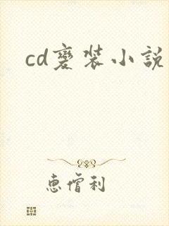 cd变装小说