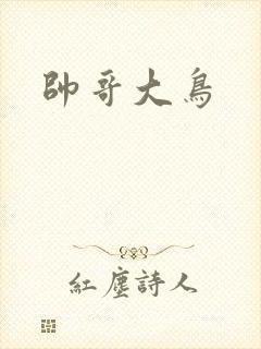 帅哥大鸟