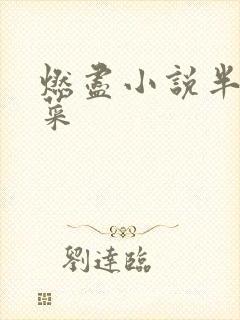 燃尽小说半截白菜