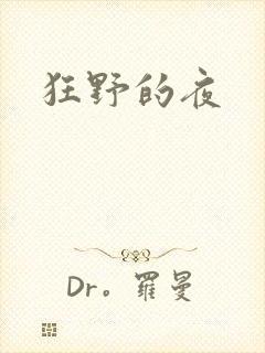 狂野的夜