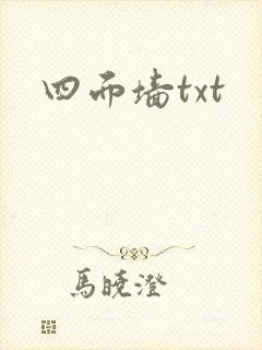 四面墙txt
