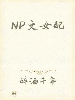 NP文女配