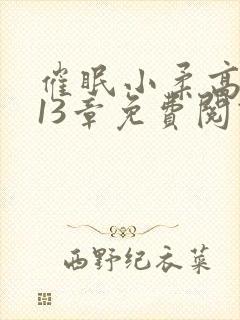 催眠小柔高达第13章免费阅读