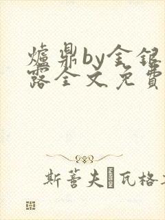 炉鼎by金银花露全文免费阅读笔趣阁