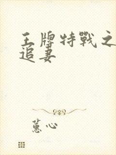 王牌特战之军少追妻