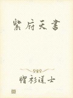 紫府天书