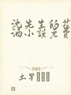 沈先生的花式调酒小说免费阅读