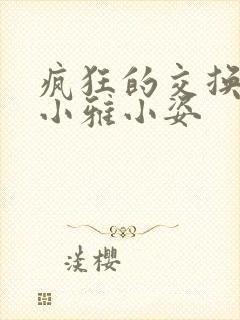 疯狂的交换小静小雅小姿