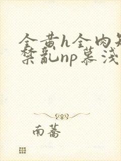 全黄h全肉短篇禁乱np慕浅浅