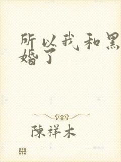 所以我和黑粉结婚了
