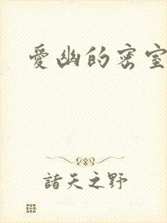 爱幽的密室小说