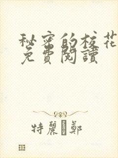 秘密的校花小说免费阅读