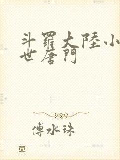 斗罗大陆小说绝世唐门