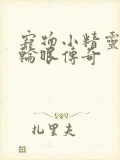 宠物小精灵之写轮眼传奇