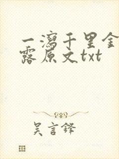 一泻千里金银花露原文txt