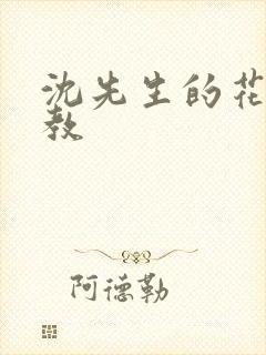 沈先生的花式调教