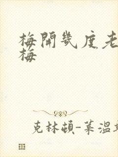 梅开几度老周张梅