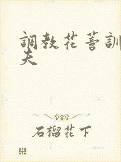 调教花蒂训诫从夫