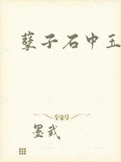 孽子石中玉
