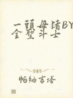 一头母猪BY黄金圣斗士