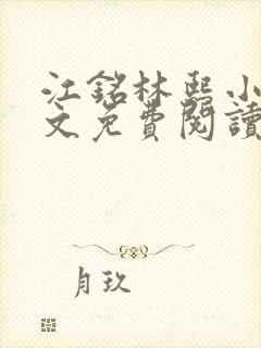 江铭林熙小说全文免费阅读