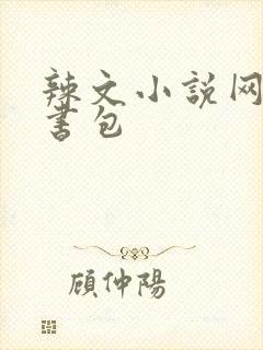辣文小说网第二书包